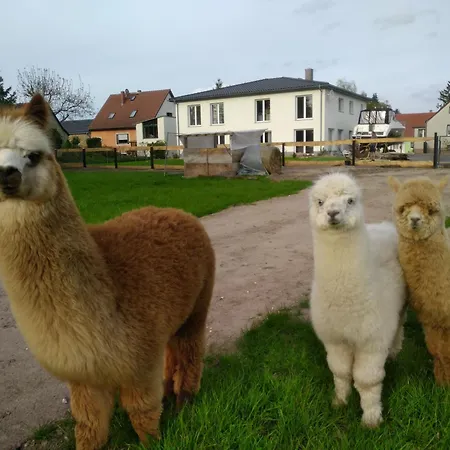 Beetzseeheide